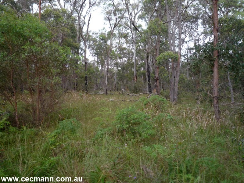 3203 Mt Lindesay Road, Stanthorpe QLD 4380
