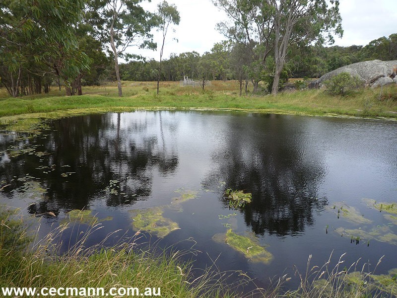 203 Robertson Road, Stanthorpe QLD 4380