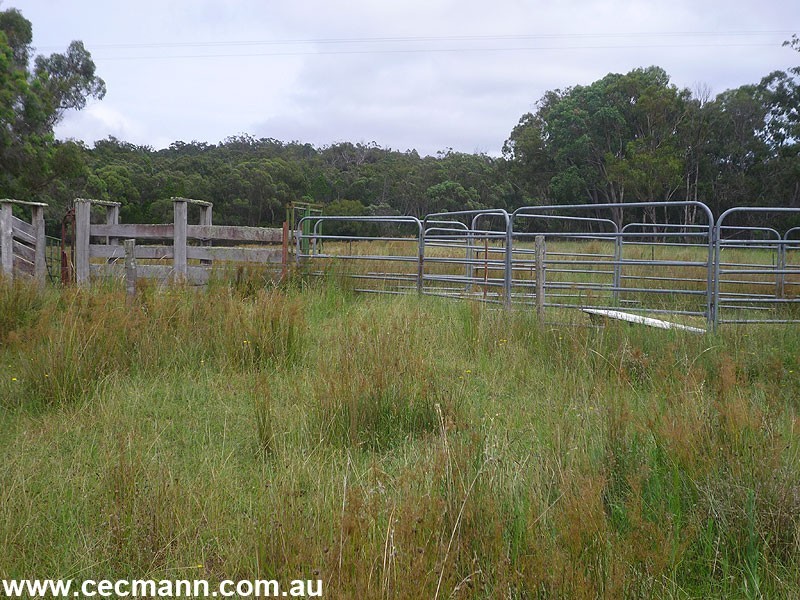 203 Robertson Road, Stanthorpe QLD 4380