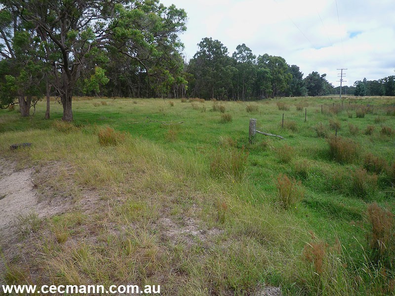 203 Robertson Road, Stanthorpe QLD 4380