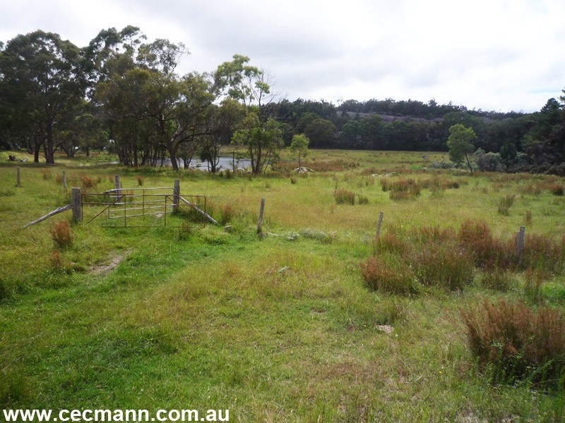 203 Robertson Road, Stanthorpe QLD 4380