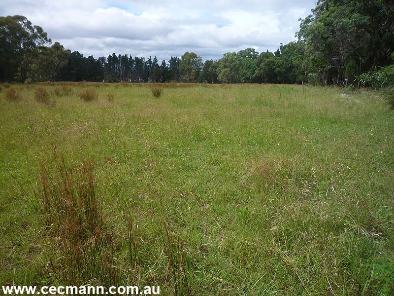 203 Robertson Road, Stanthorpe QLD 4380