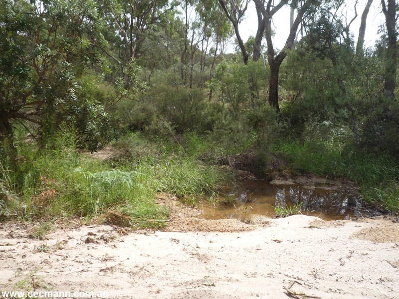 Lot 4 Mills Road, Stanthorpe QLD 4380