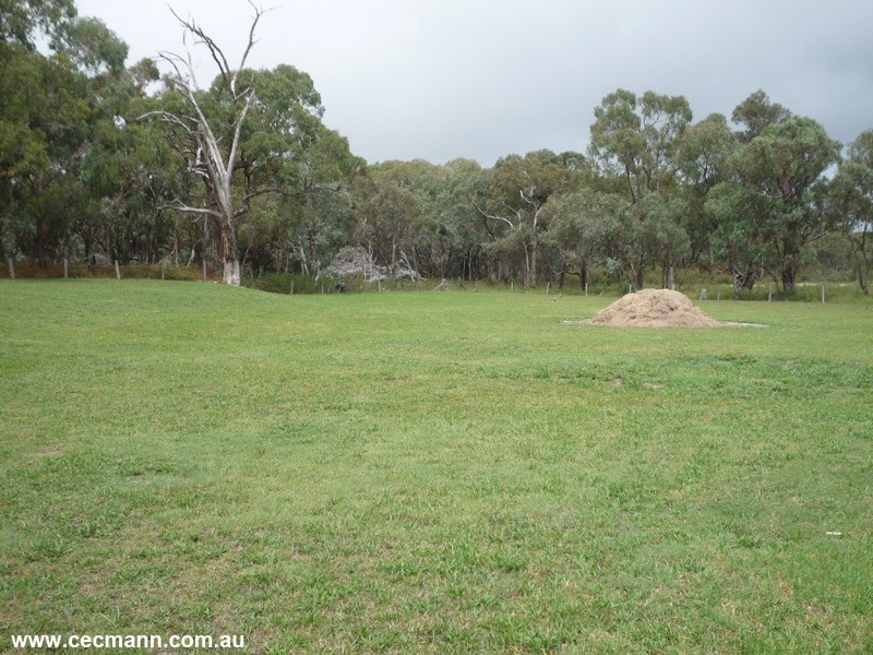 Lot 4 Mills Road, Stanthorpe QLD 4380