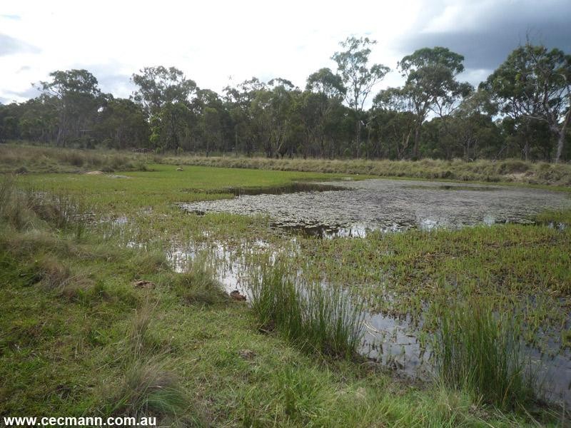 168 Furness Road, Stanthorpe QLD 4380