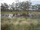 168 Furness Road, Stanthorpe QLD 4380