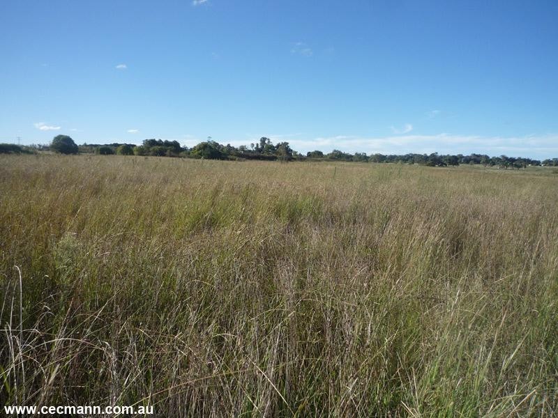 540 Old Warwick Road, Stanthorpe QLD 4380