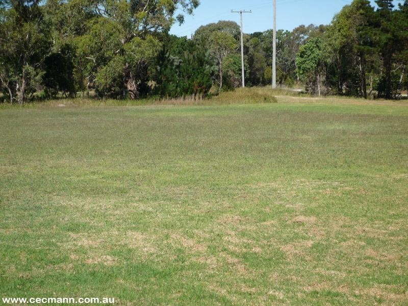 195 Newlands Road, Stanthorpe QLD 4380