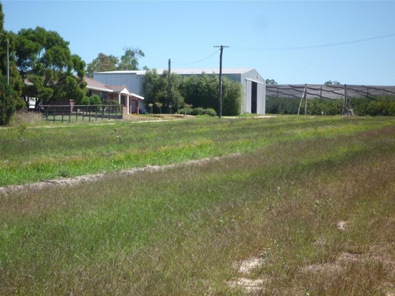 215 Kelly Road, Stanthorpe QLD 4380