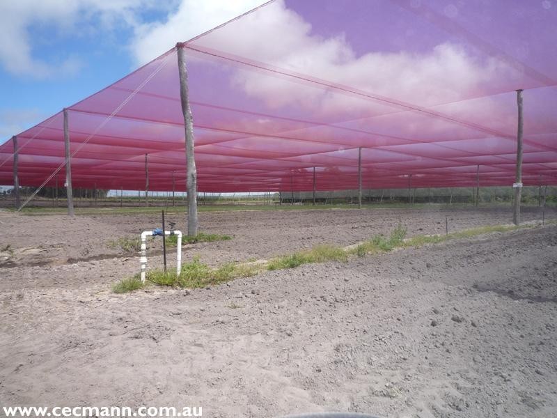 120 Pradella Road, Stanthorpe QLD 4380