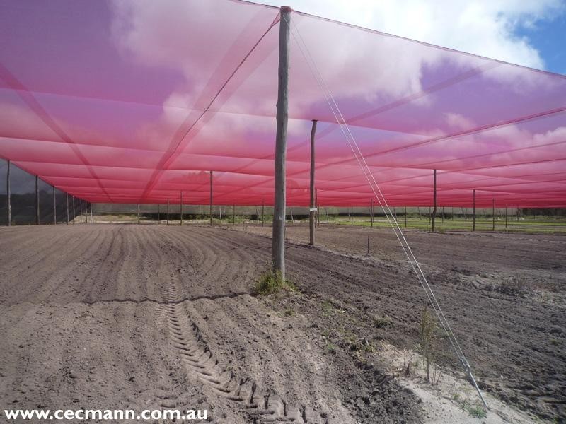 120 Pradella Road, Stanthorpe QLD 4380