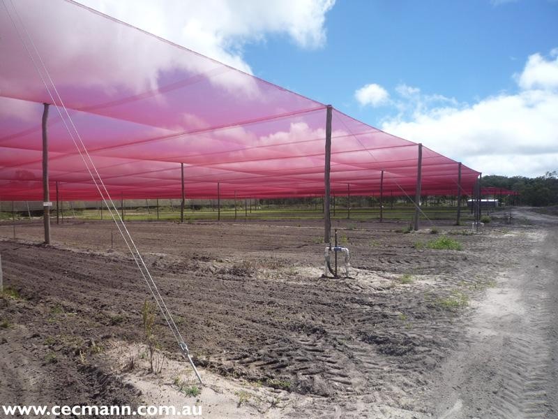 120 Pradella Road, Stanthorpe QLD 4380