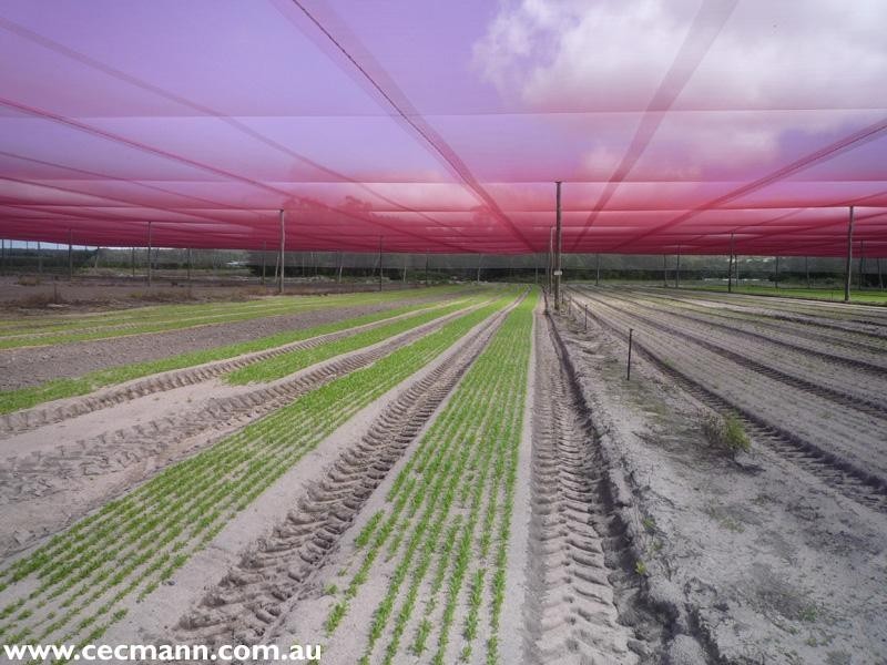 120 Pradella Road, Stanthorpe QLD 4380