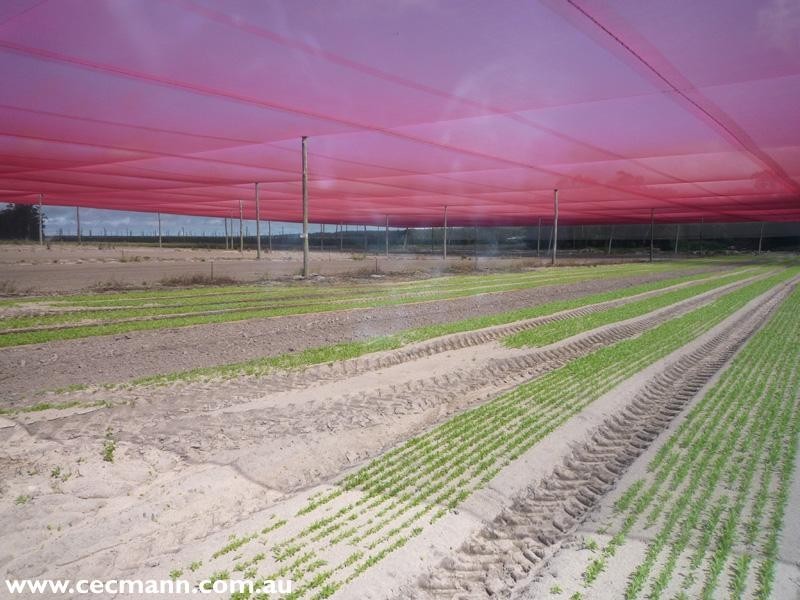 120 Pradella Road, Stanthorpe QLD 4380