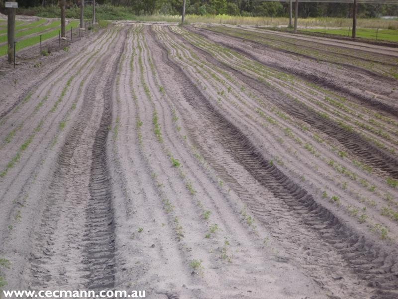 120 Pradella Road, Stanthorpe QLD 4380