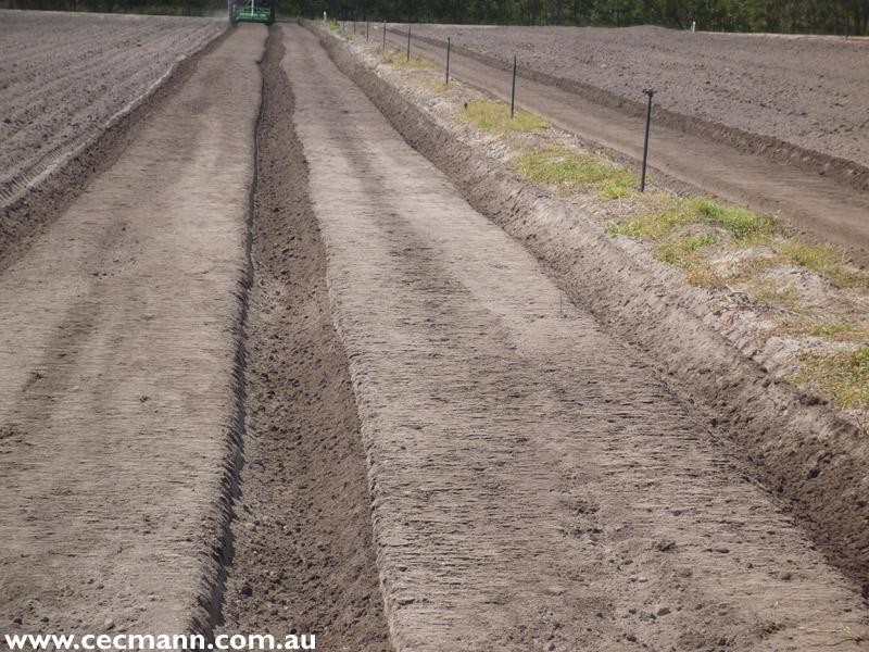 120 Pradella Road, Stanthorpe QLD 4380