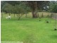 12 Waterson Lane, Stanthorpe QLD 4380