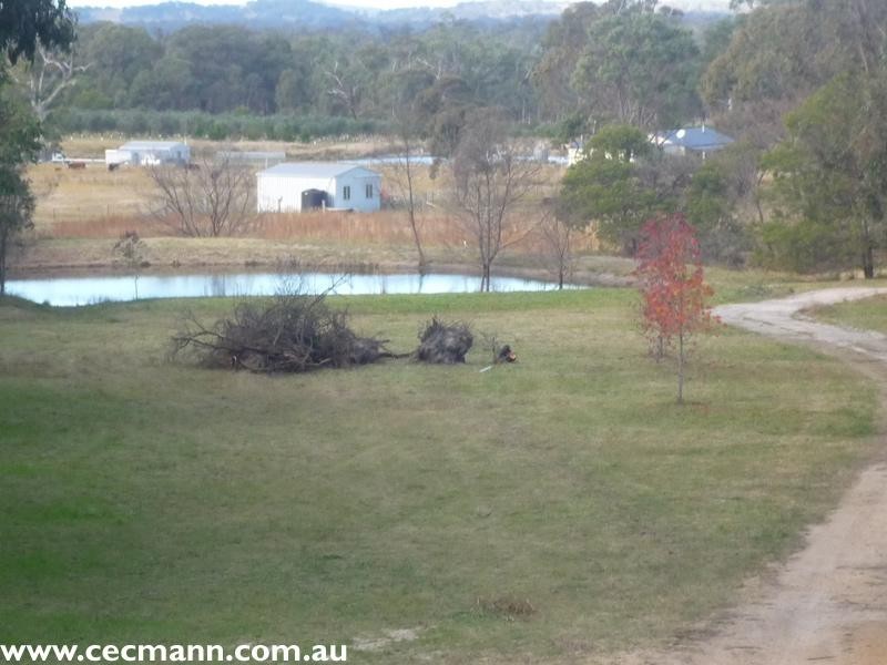 23 McKechnie Road, Stanthorpe QLD 4380
