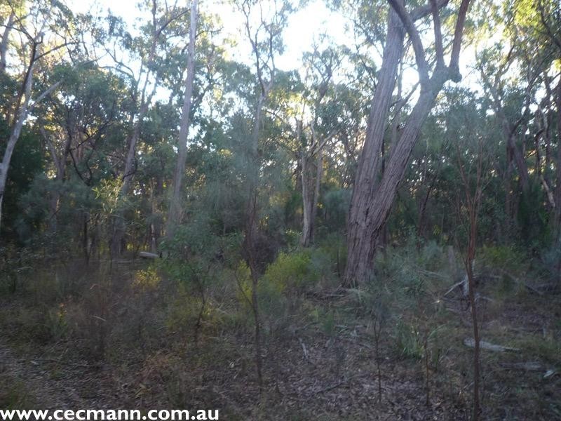 130 Browns Lane, Stanthorpe QLD 4380