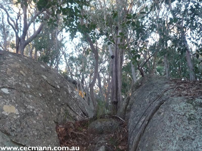 130 Browns Lane, Stanthorpe QLD 4380