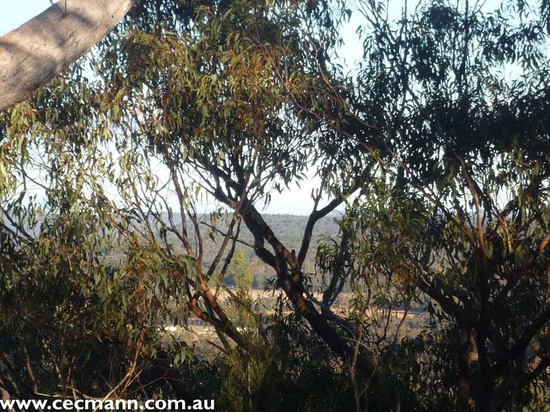 130 Browns Lane, Stanthorpe QLD 4380