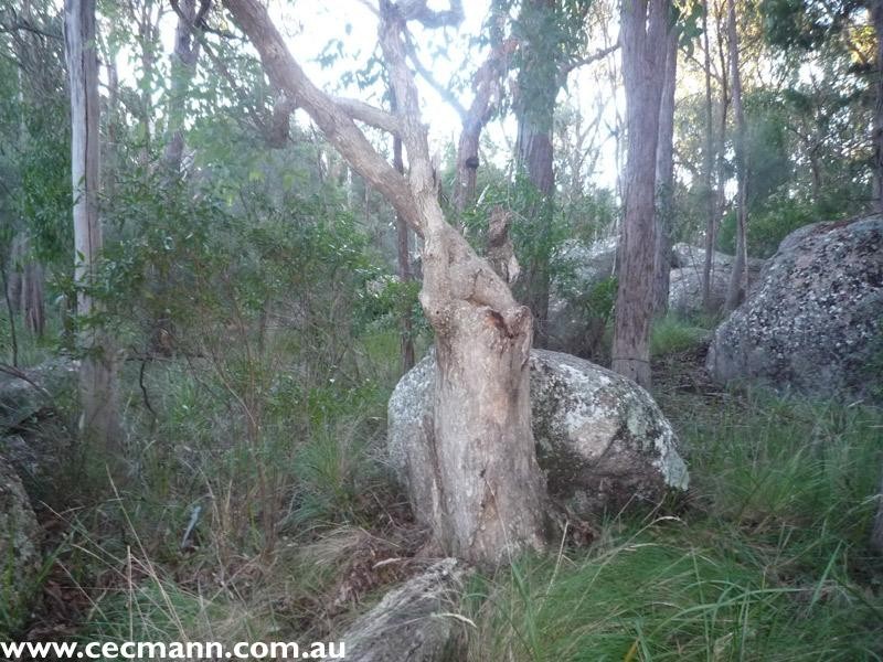 130 Browns Lane, Stanthorpe QLD 4380