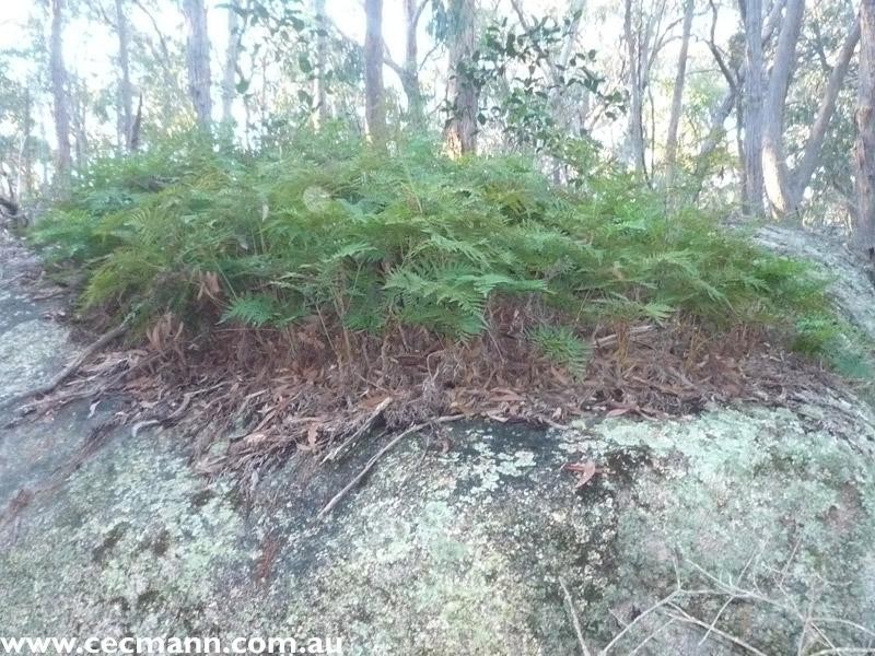 130 Browns Lane, Stanthorpe QLD 4380