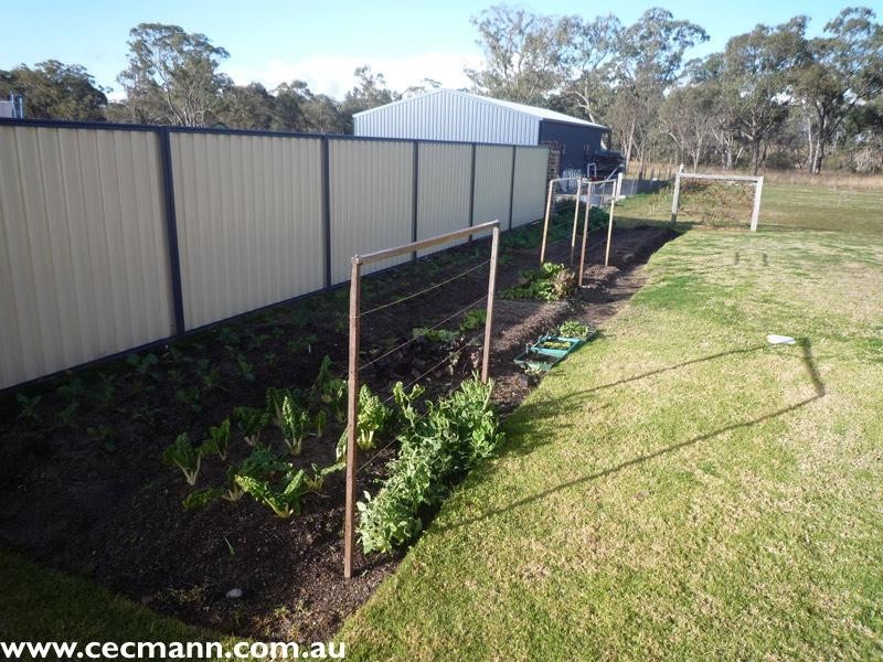 25 Bau Court, Stanthorpe QLD 4380