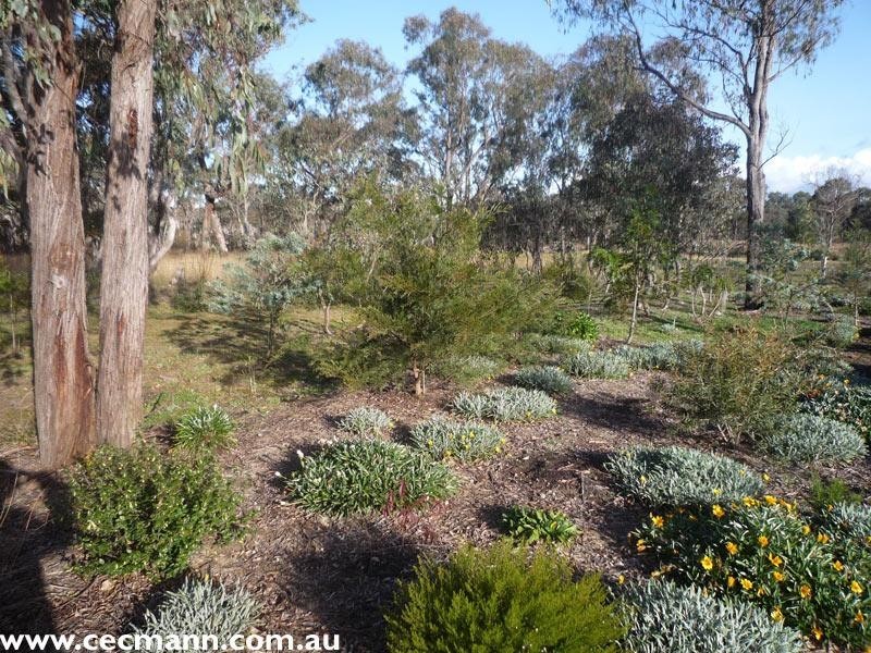 25 Bau Court, Stanthorpe QLD 4380