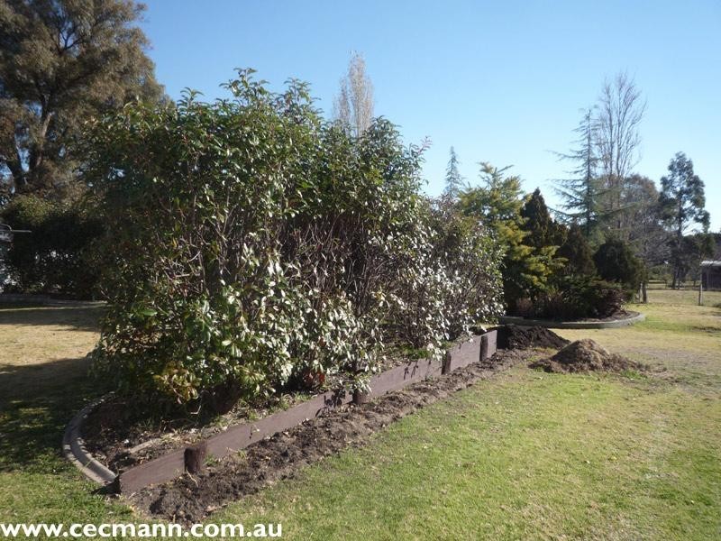 38 Marsh Street, Stanthorpe QLD 4380