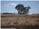 110 Spring Creek Road, Stanthorpe QLD 4380