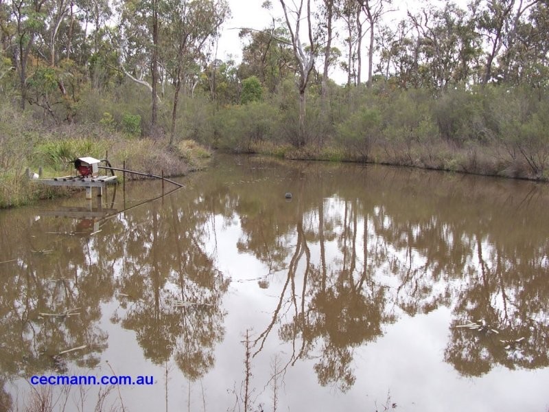 20 Philpott Lane, Stanthorpe QLD 4380