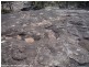 Lot 3 Rapisarda Lane, Stanthorpe QLD 4380
