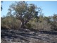 Lot 2 Rapisarda Lane, Stanthorpe QLD 4380