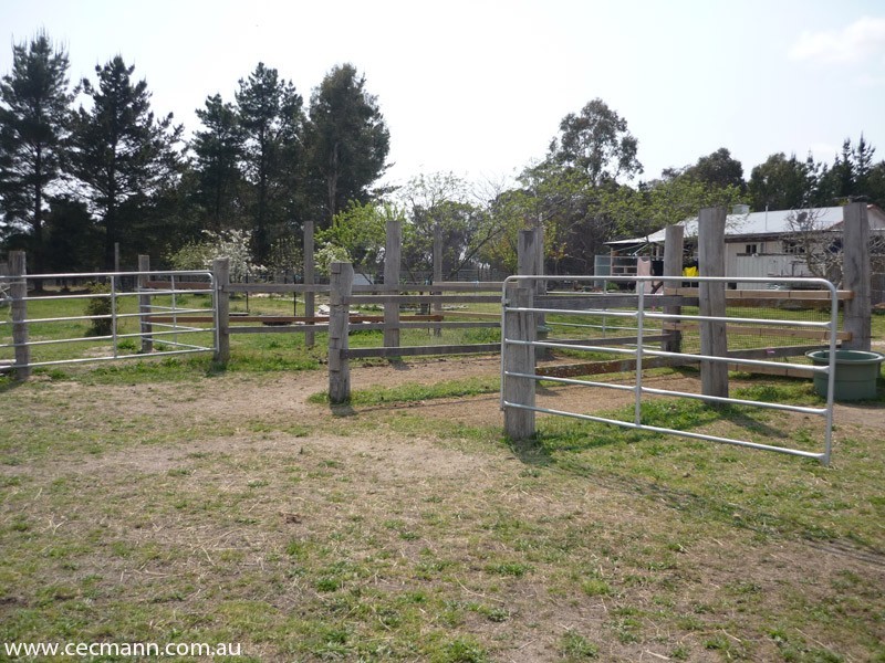 36 Willocks Lane, Stanthorpe QLD 4380