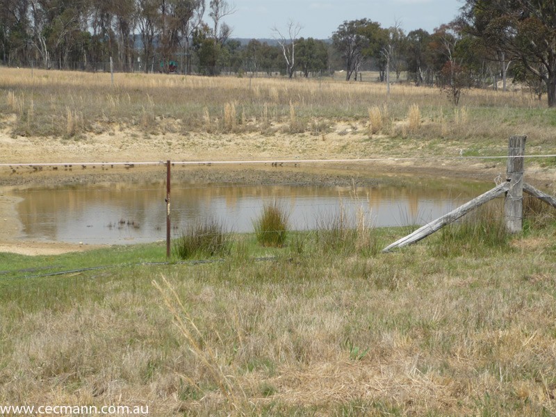 36 Willocks Lane, Stanthorpe QLD 4380