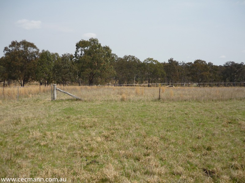 36 Willocks Lane, Stanthorpe QLD 4380