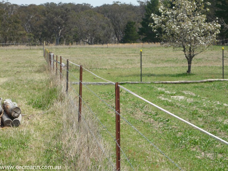 36 Willocks Lane, Stanthorpe QLD 4380