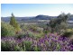 67 Rapisarda Lane, Stanthorpe QLD 4380