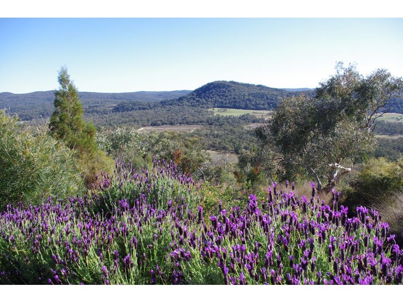 67 Rapisarda Lane, Stanthorpe QLD 4380