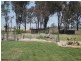 775 Texas Road, Stanthorpe QLD 4380