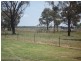 775 Texas Road, Stanthorpe QLD 4380