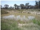 775 Texas Road, Stanthorpe QLD 4380