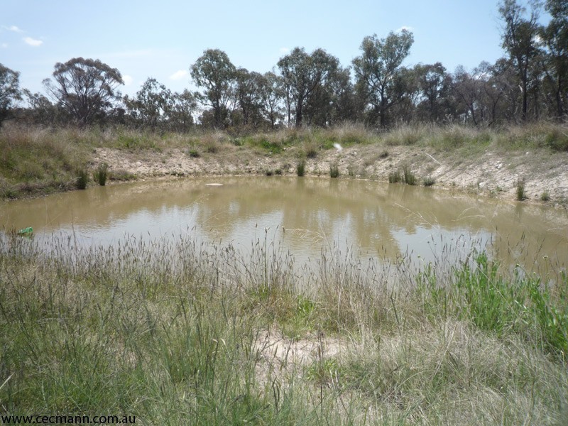 775 Texas Road, Stanthorpe QLD 4380