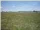 775 Texas Road, Stanthorpe QLD 4380