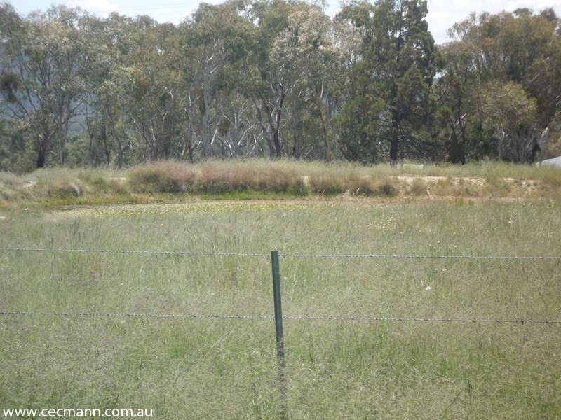 Stanthorpe QLD 4380
