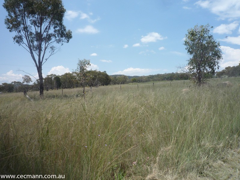 Stanthorpe QLD 4380