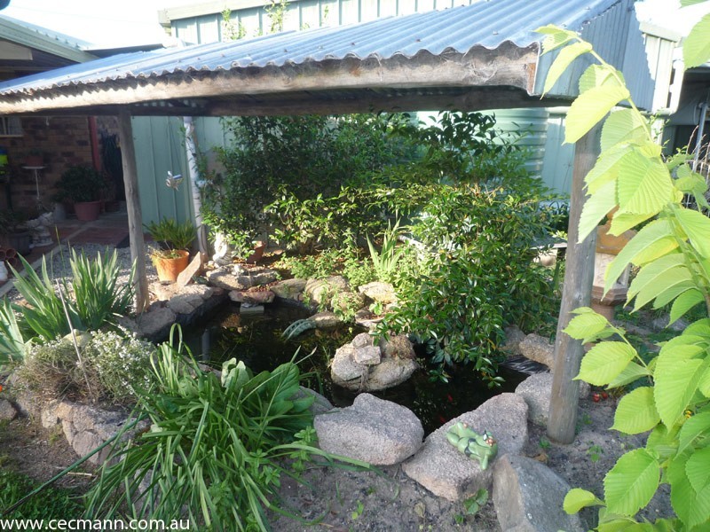 24 Border Road, Stanthorpe QLD 4380