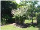 91 Granite Belt Drive, Stanthorpe QLD 4380