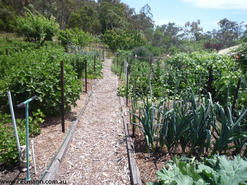 78 Lees Mountain Road, Stanthorpe QLD 4380